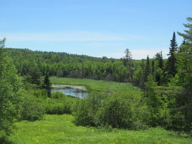 167 Swetts Pond Road Orrington, ME 04474 - Photo 9 of 20 Photo