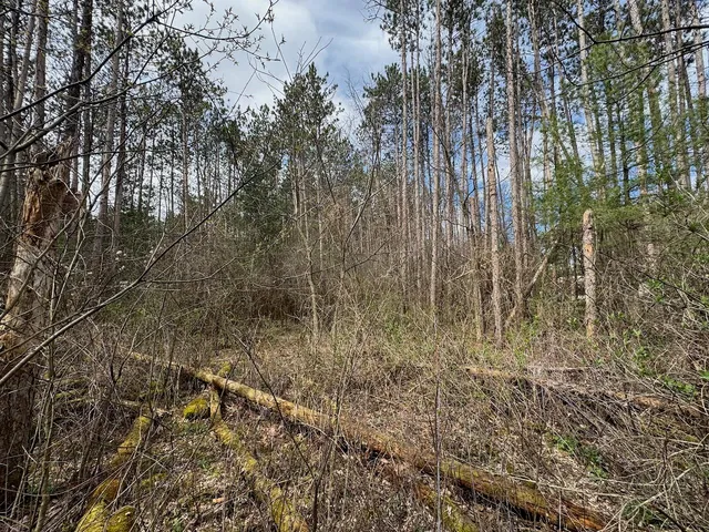 $55,000 | 0 Sportsman Drive, Muscoda, WI 53573