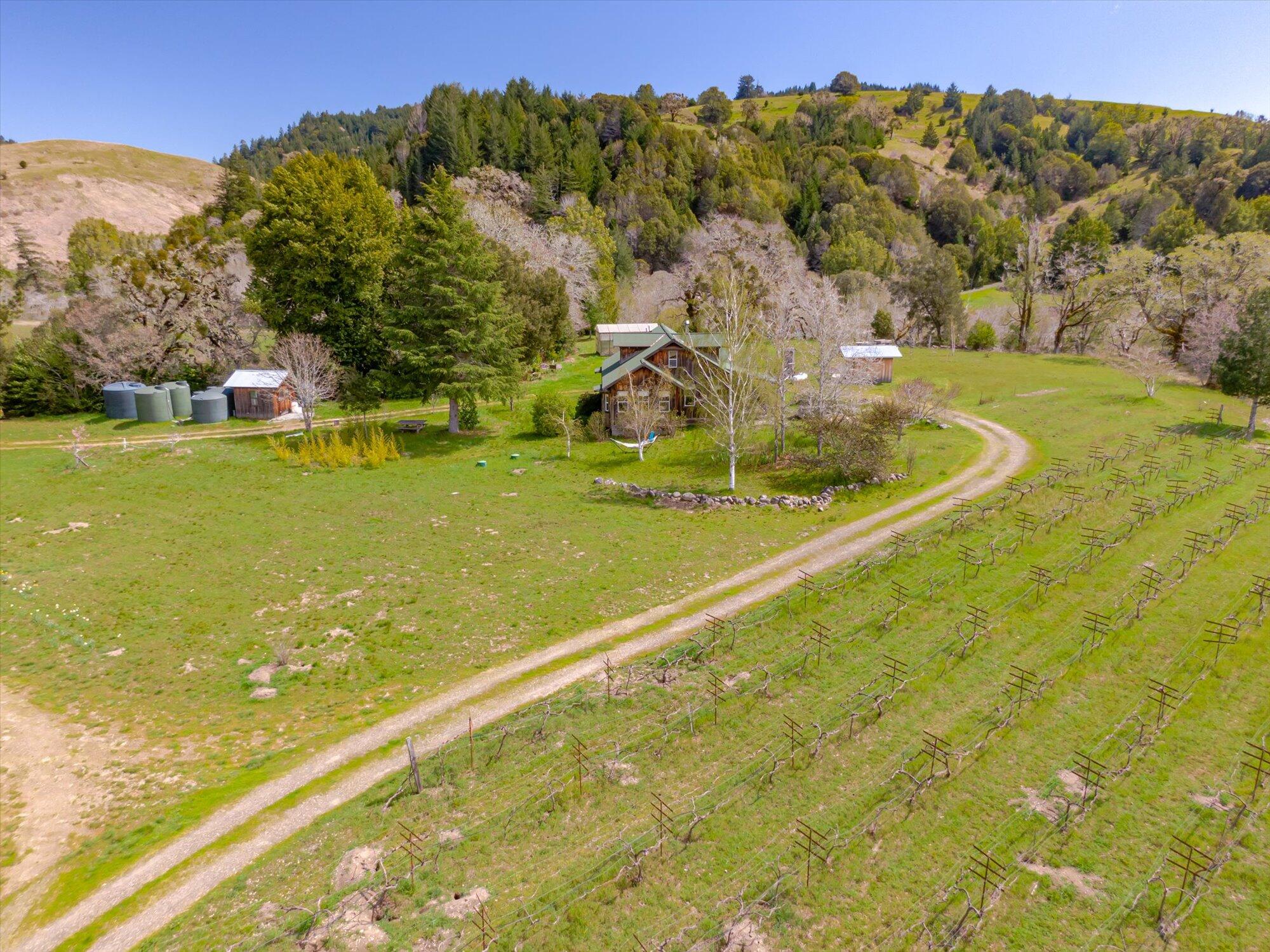 650 Old Hindley Ranch Road Petrolia, CA 95558 - Photo 37 of 61