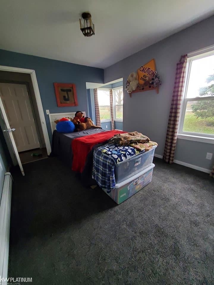 8991 Hill Road Goodells, MI 48027 - Photo 58 of 68 50026967-57.JPG