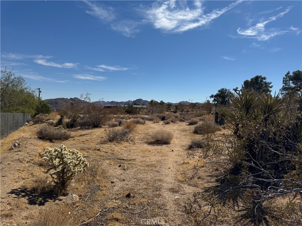 7217 Sunny Vista Road Joshua Tree, CA 92252 - Photo 1 of 5