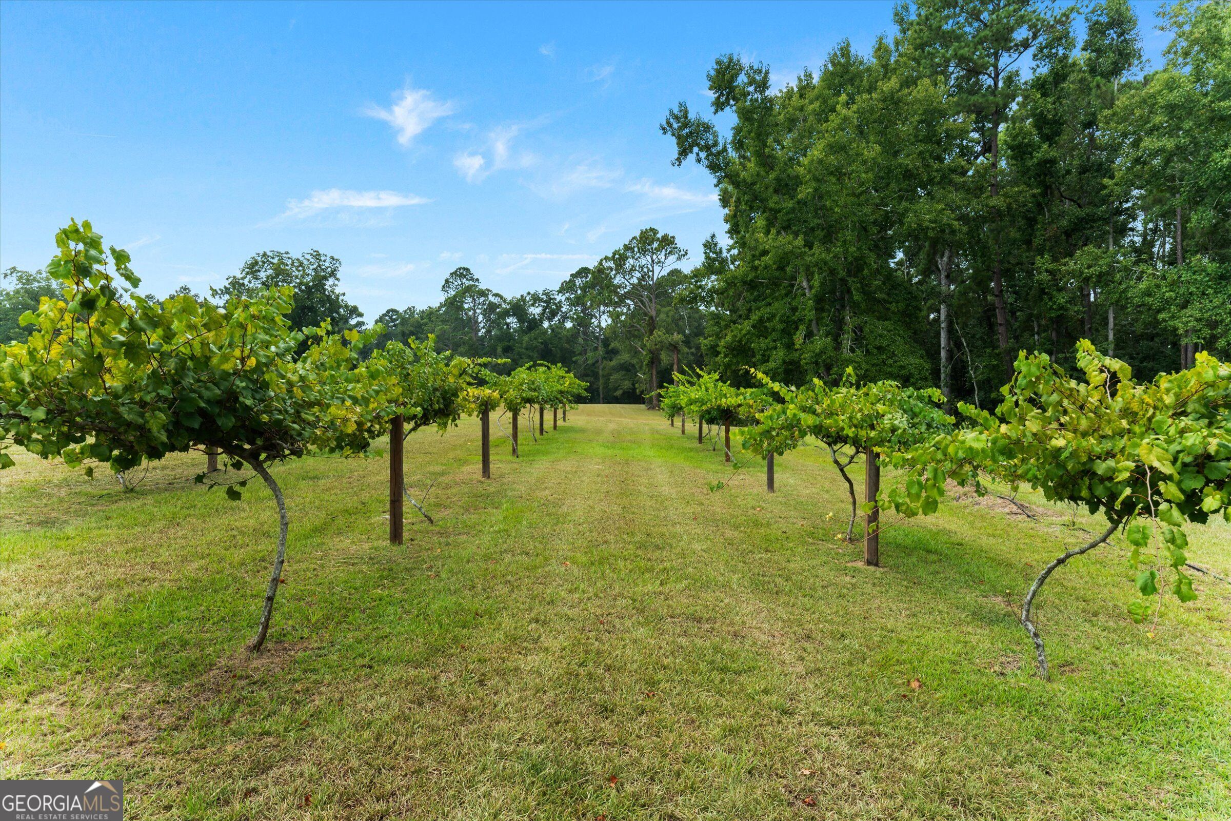 2224 Chainey Briar Road Metter, GA 30439 - Photo 36 of 151 Gallery Image 36
