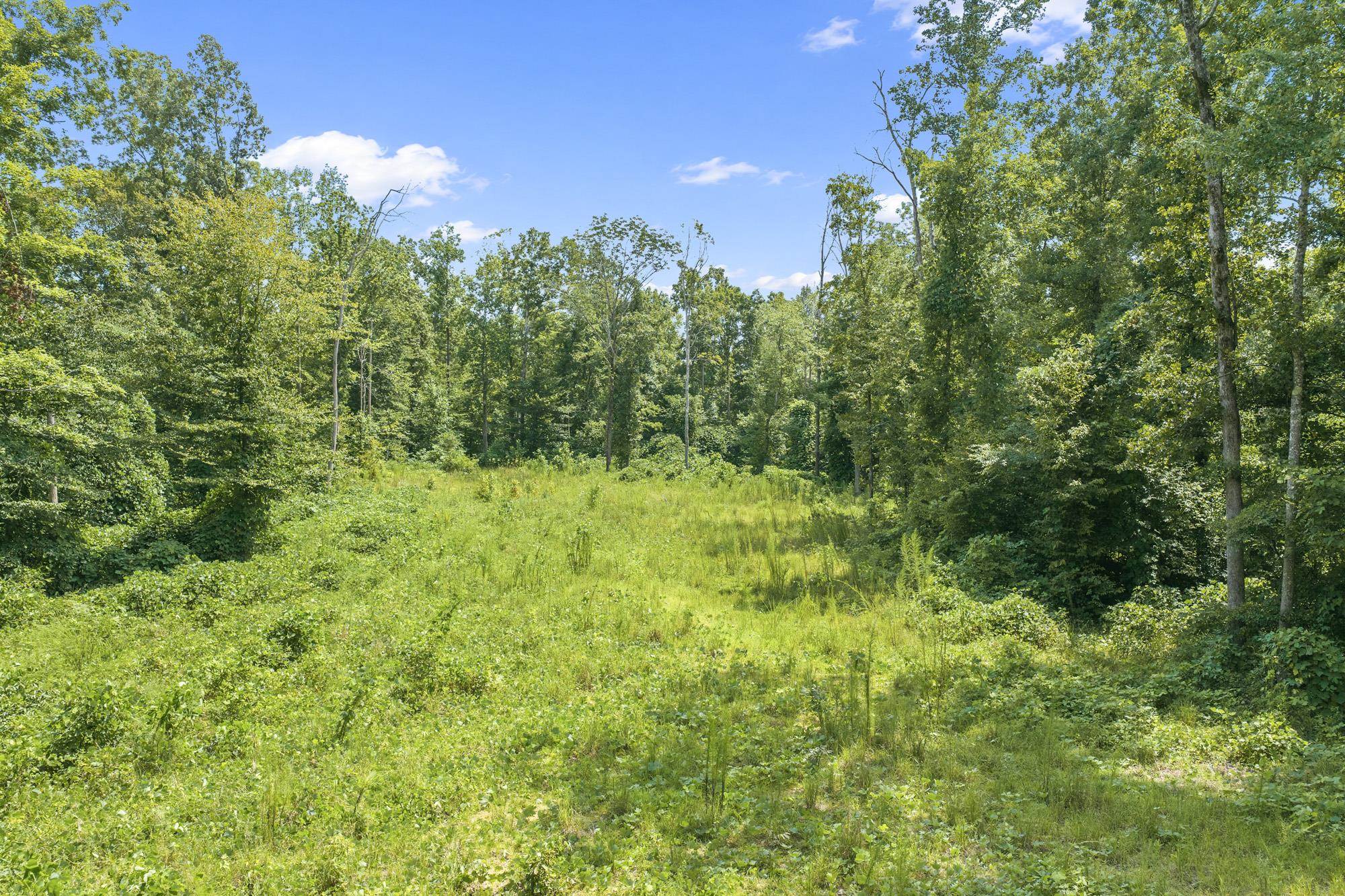 0 Holladay Road Holladay, TN 38341 - Photo 2 of 25 Gallery Image 2