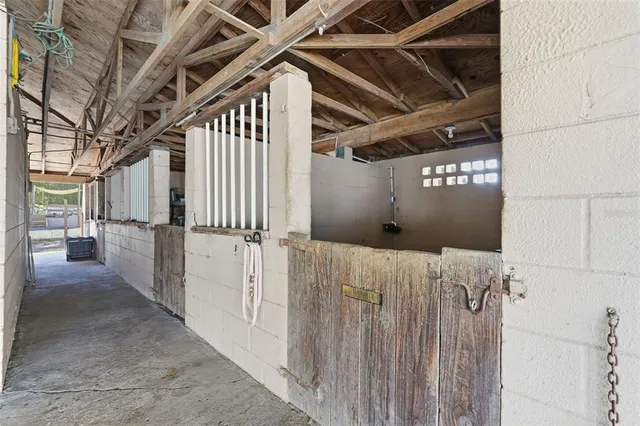 a view of a park with large trees