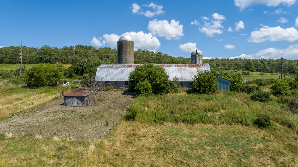 0 Parrott Road Cayuta, NY 14824 - Photo 11 of 22