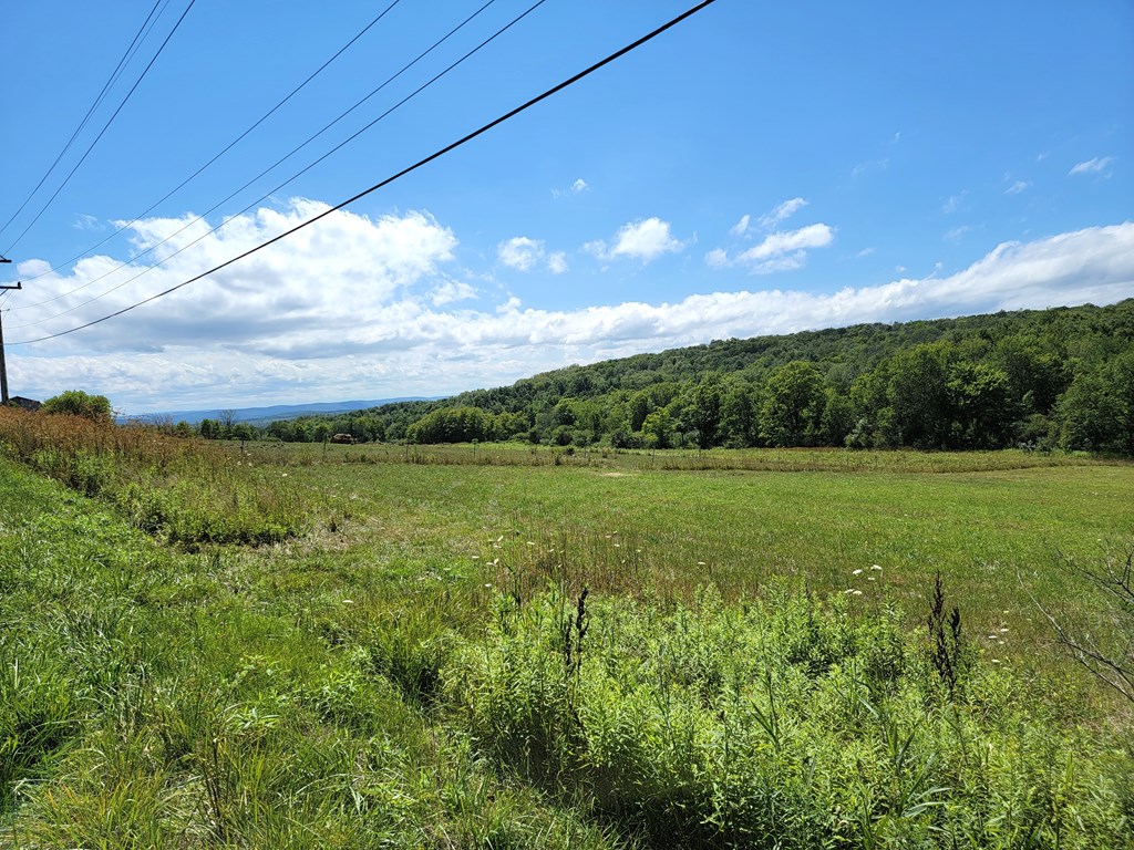 0 Parrott Road Cayuta, NY 14824 - Photo 12 of 22