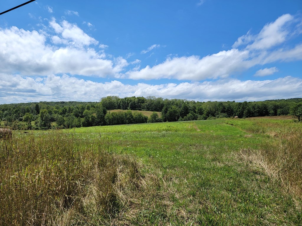 0 Parrott Road Cayuta, NY 14824 - Photo 13 of 22