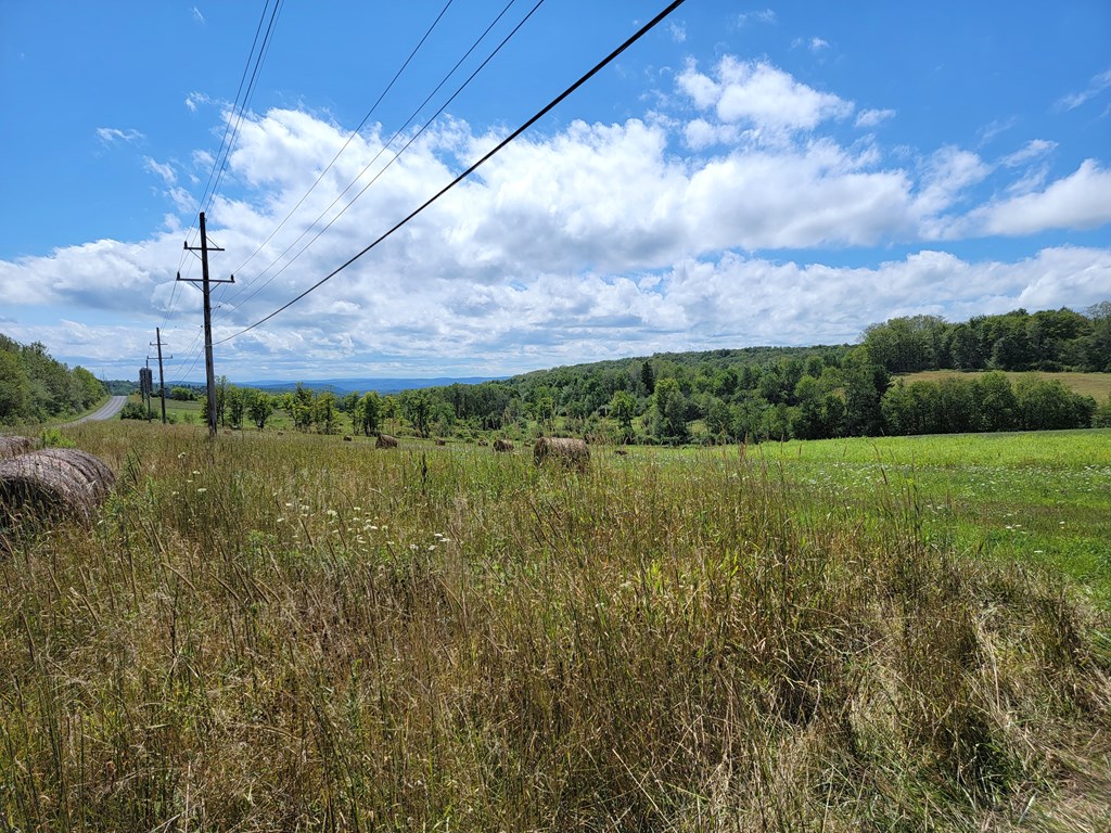 0 Parrott Road Cayuta, NY 14824 - Photo 14 of 22