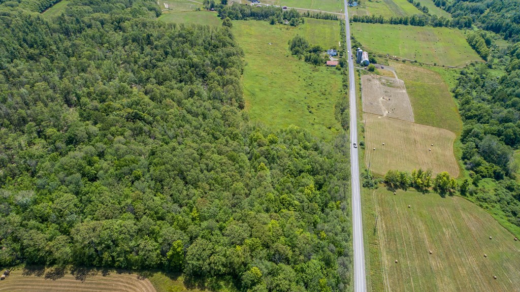 0 Parrott Road Cayuta, NY 14824 - Photo 15 of 22