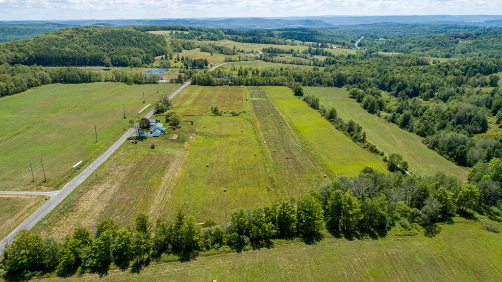 0 Parrott Road Cayuta, NY 14824 - Photo 16 of 22