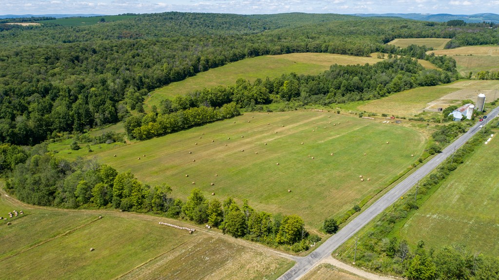 0 Parrott Road Cayuta, NY 14824 - Photo 17 of 22