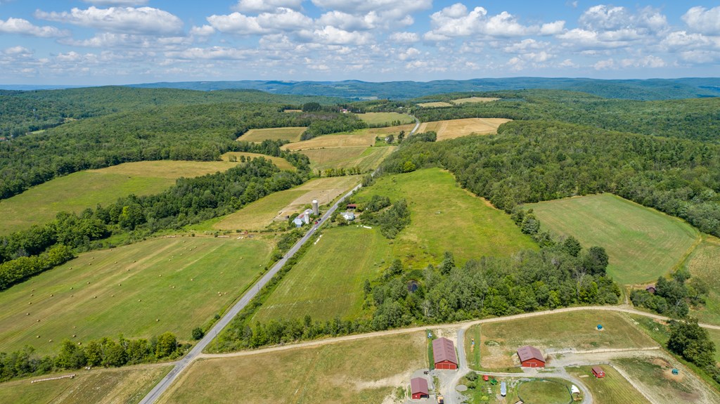 0 Parrott Road Cayuta, NY 14824 - Photo 19 of 22