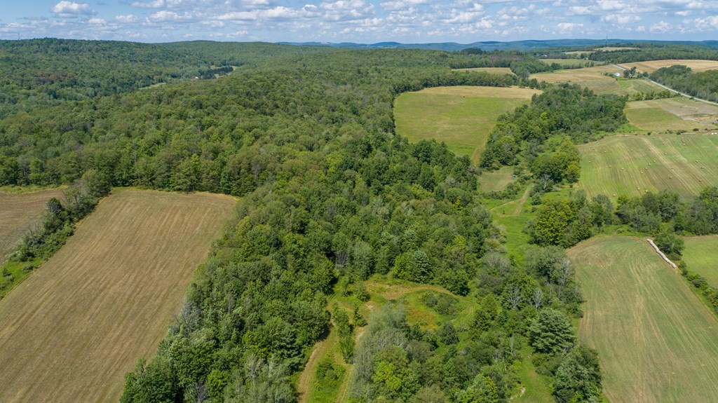 0 Parrott Road Cayuta, NY 14824 - Photo 5 of 22