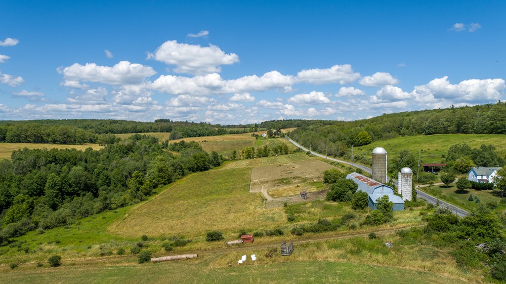 0 Parrott Road Cayuta, NY 14824 - Photo 7 of 22