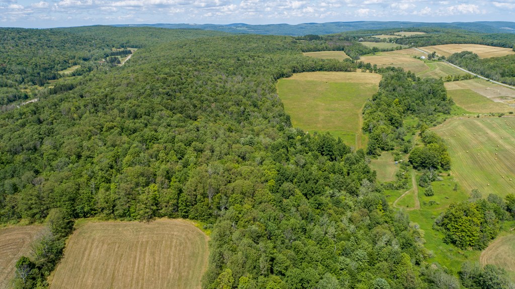 0 Parrott Road Cayuta, NY 14824 - Photo 8 of 22