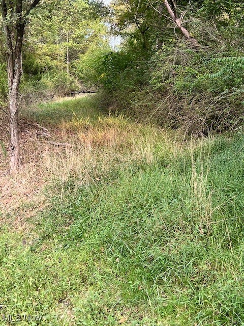 1990 Meathouse Fork Road Ravenswood, WV 26164 - Photo 14 of 14 Driveway up to property.