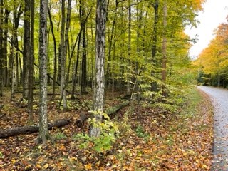 East Ridgeview Drive Baileys Harbor, WI 54202 - Photo 5 of 7