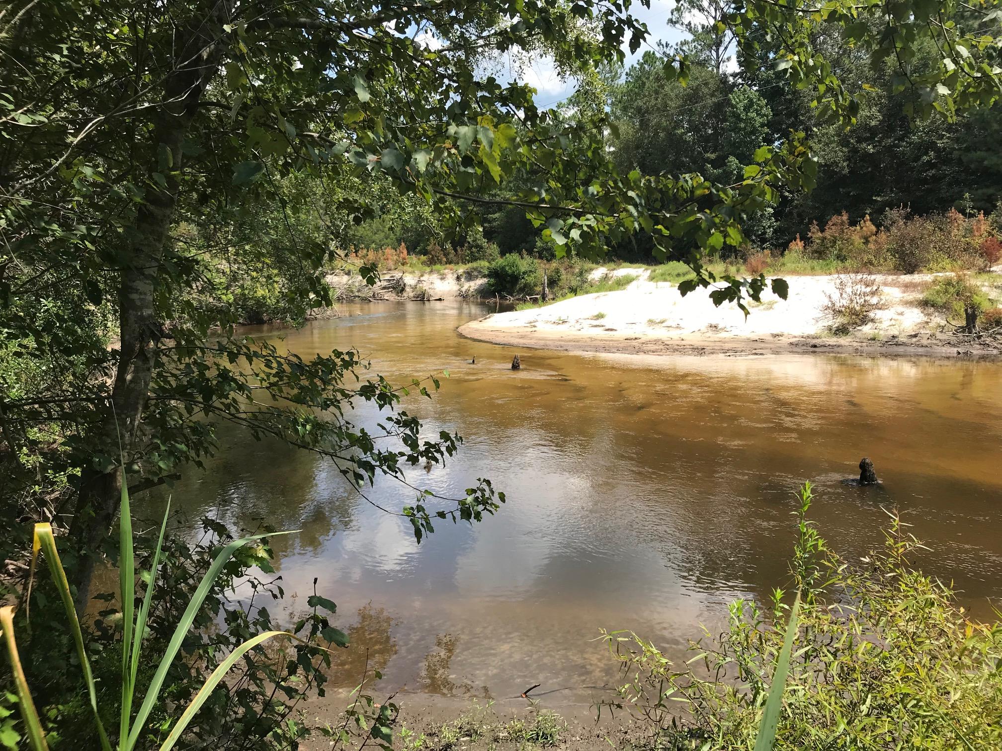 918 Deshazo Road Crestview, FL 32539 - Photo 1 of 28 a view of a lake from a yard