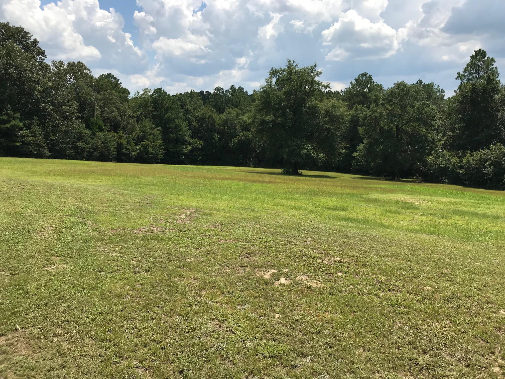 918 Deshazo Road Crestview, FL 32539 - Photo 6 of 28 a view of beach and yard