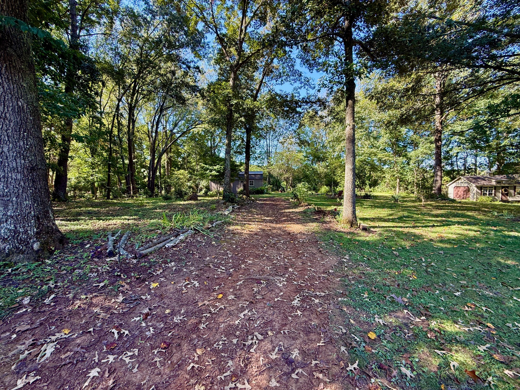 320 Spring Valley Drive Cottontown, TN 37048 - Photo 45 of 48 a view of a park with large trees