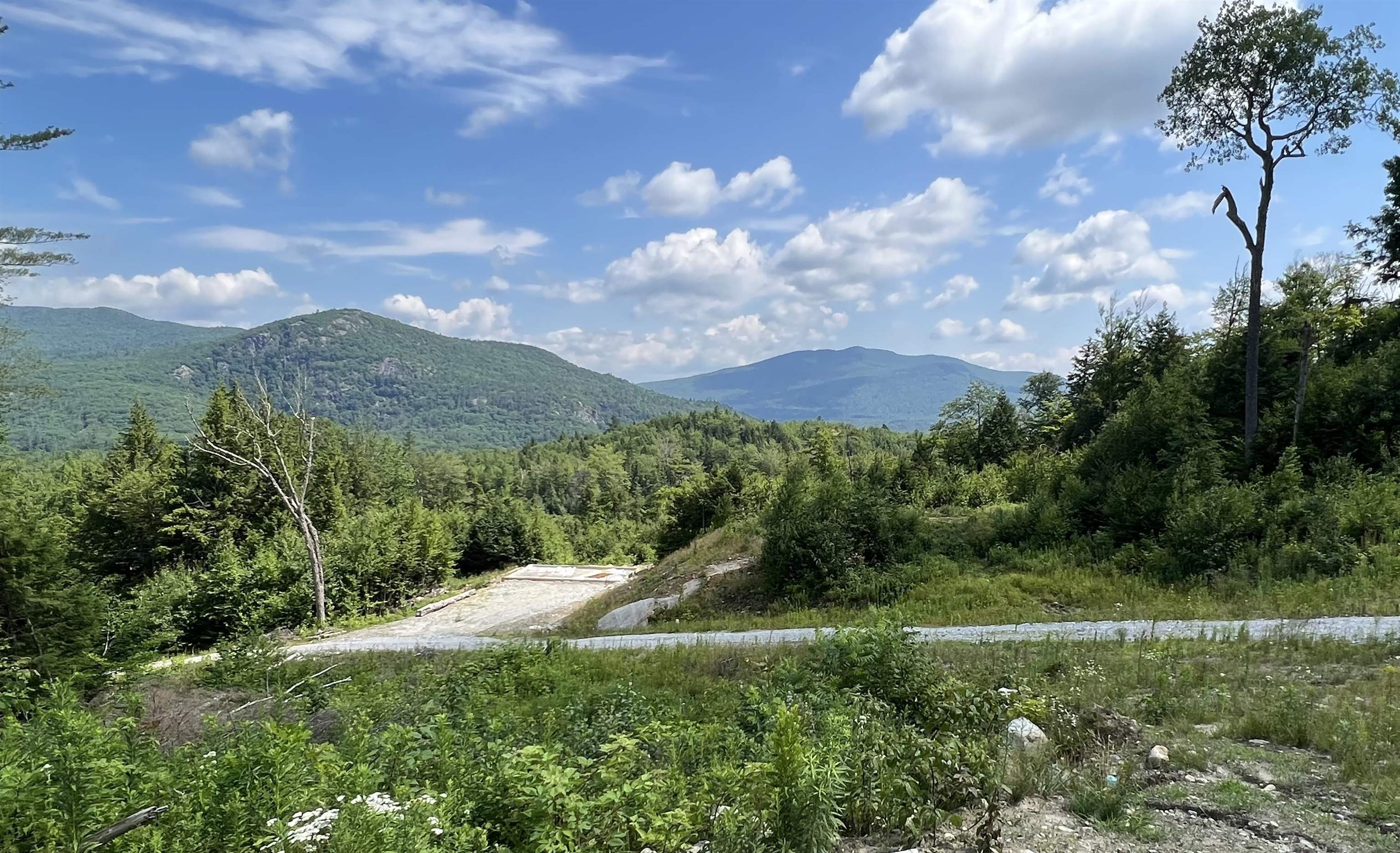 37 Stage Coach Road Rumney, NH 03266 - Photo 1 of 18