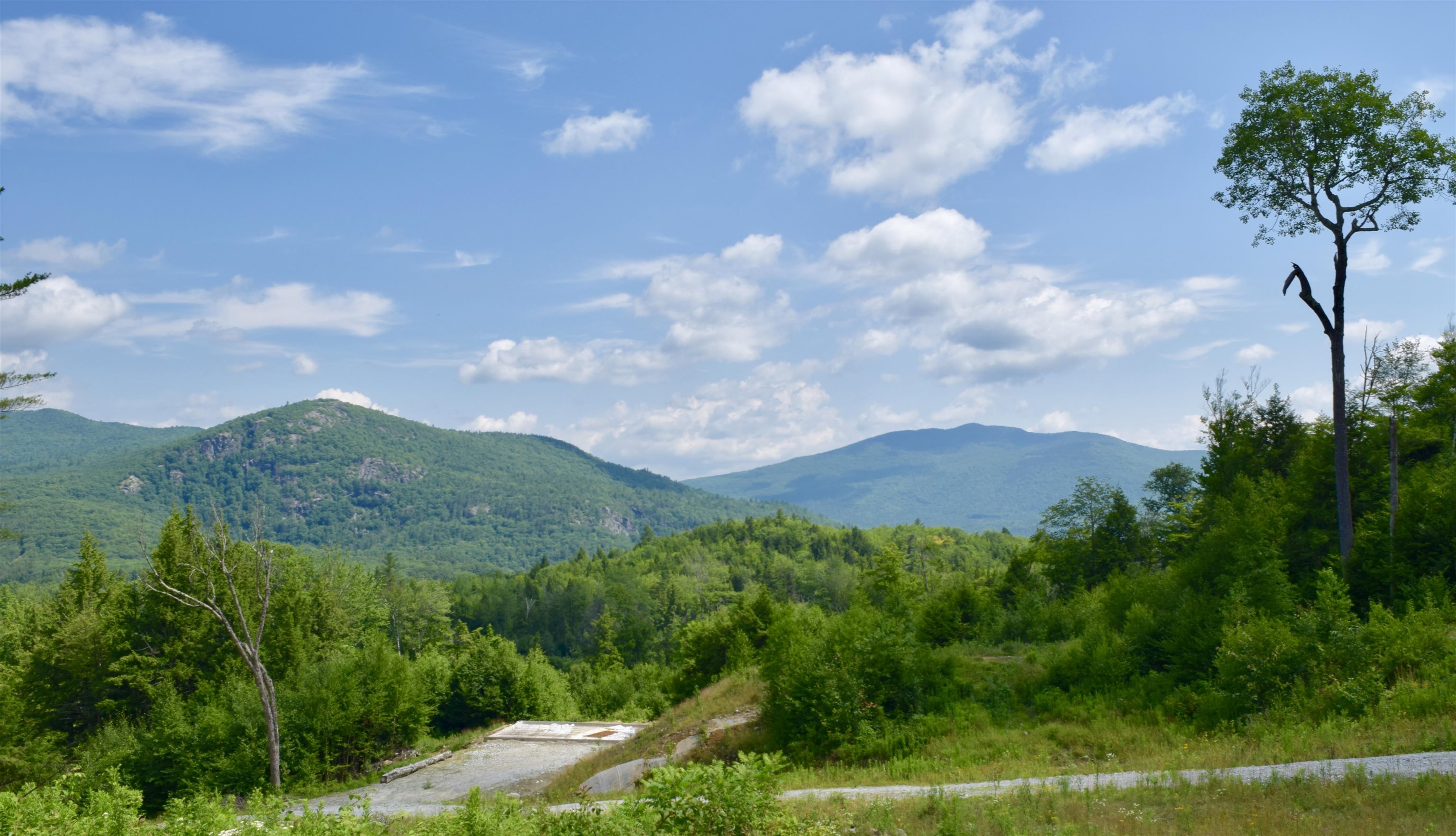 37 Stage Coach Road Rumney, NH 03266 - Photo 18 of 18