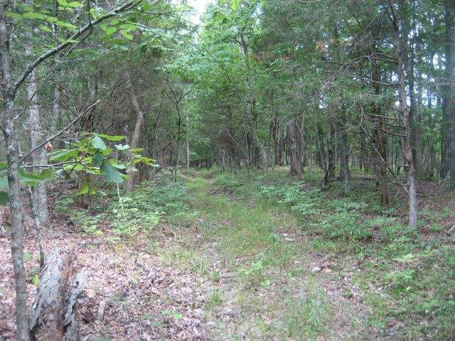 1670 Greene Road Owenton, KY 40359 - Photo 7 of 22 Photo 7