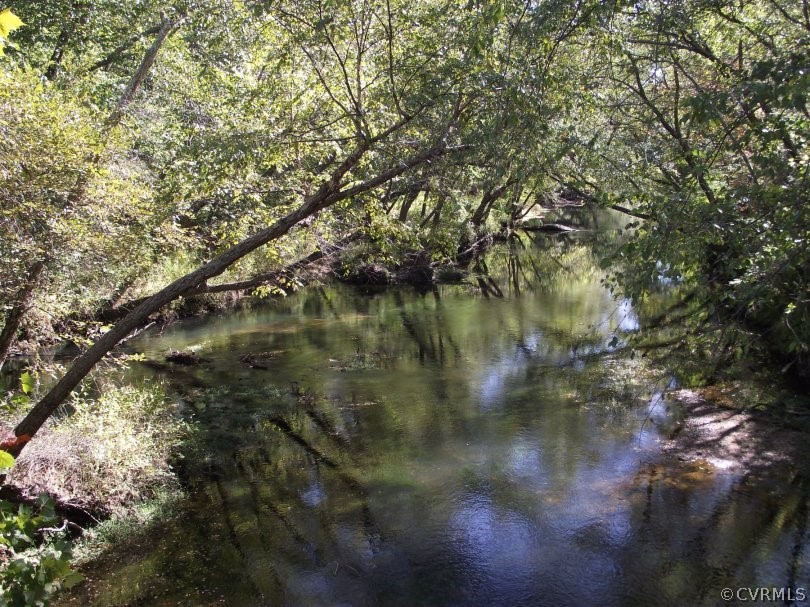 1815 Mt Olive Road Beaverdam, VA 23015 - Photo 1 of 2 a view of water with a tree