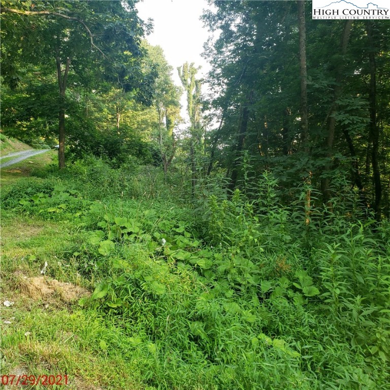 Goat Run Road Vilas, NC 28692 - Photo 11 of 17 Gallery Image 11