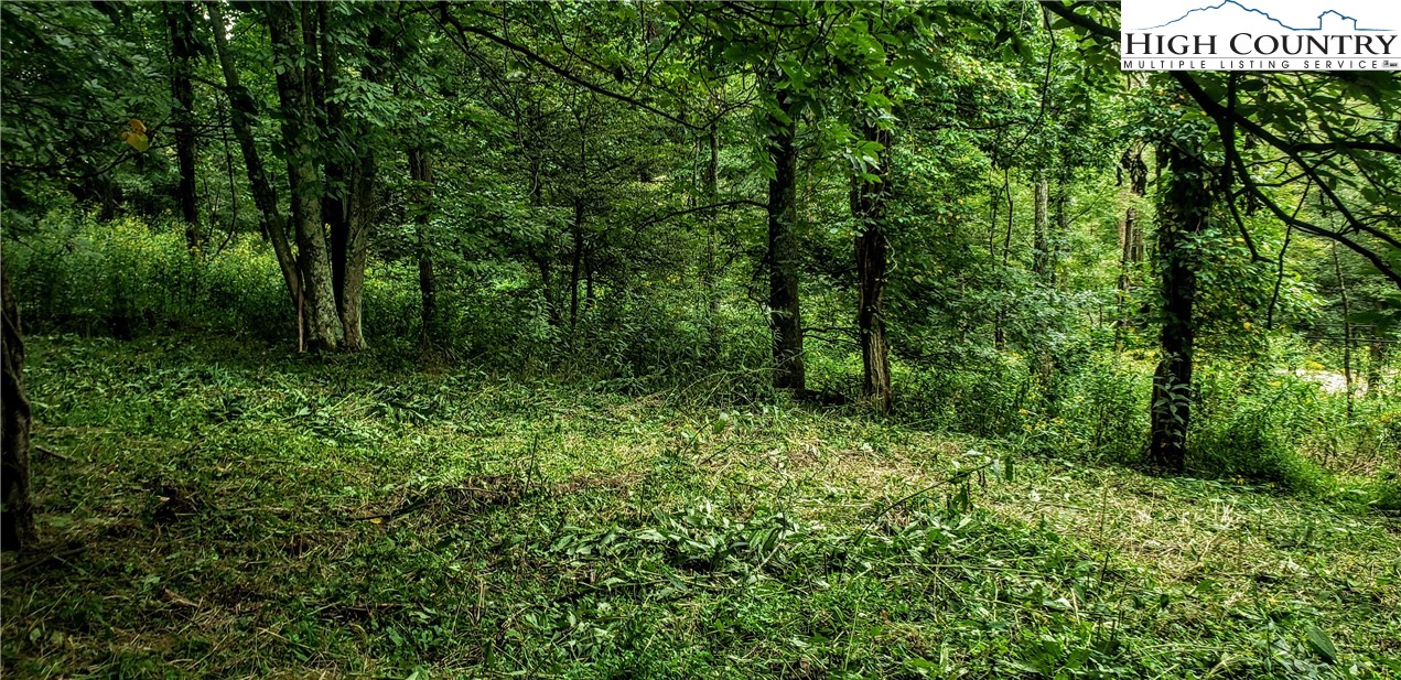 Goat Run Road Vilas, NC 28692 - Photo 15 of 17 Gallery Image 15