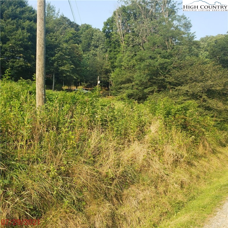 Goat Run Road Vilas, NC 28692 - Photo 8 of 17 Gallery Image 8
