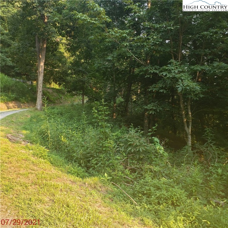 Goat Run Road Vilas, NC 28692 - Photo 10 of 17 Gallery Image 10