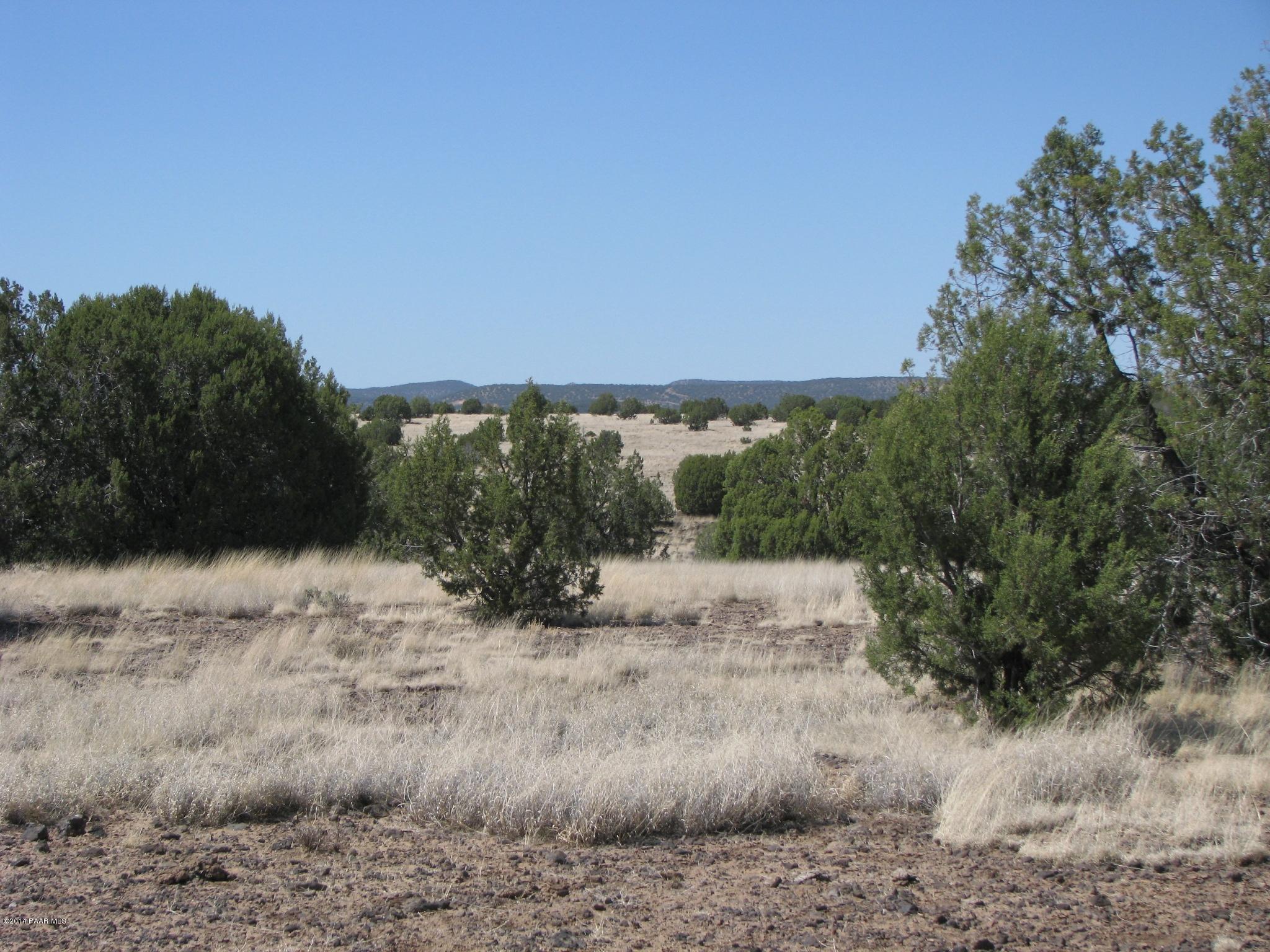 6800 Grand Vista Rnch Road Williams, AZ 86046 - Photo 11 of 23 IMG_0281
