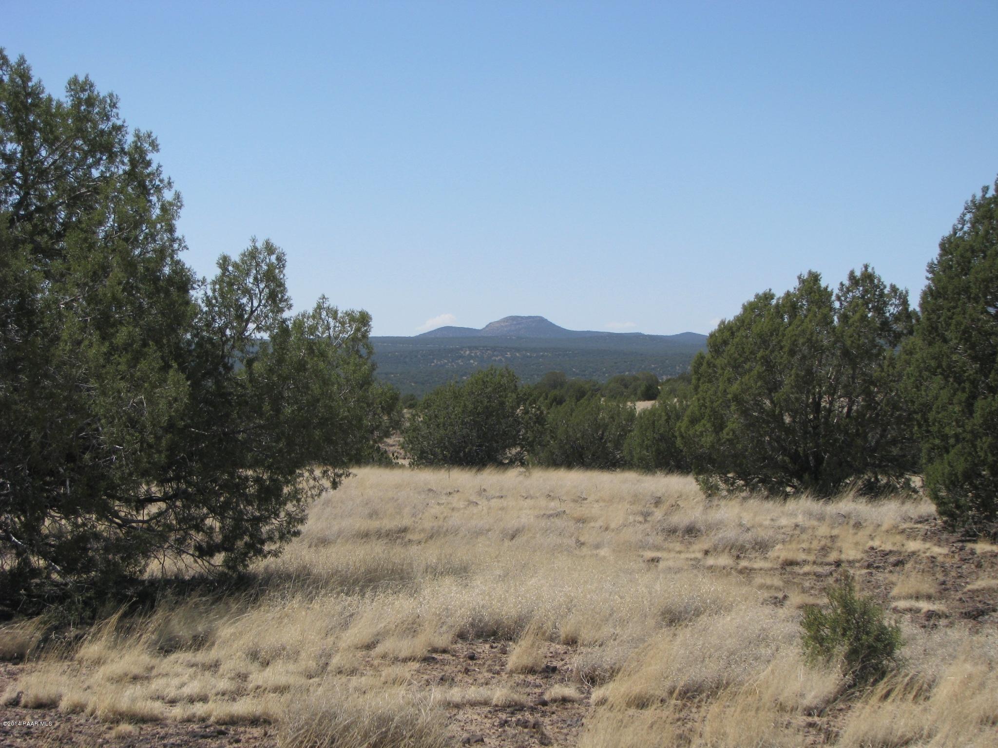 6800 Grand Vista Rnch Road Williams, AZ 86046 - Photo 12 of 23 IMG_0282