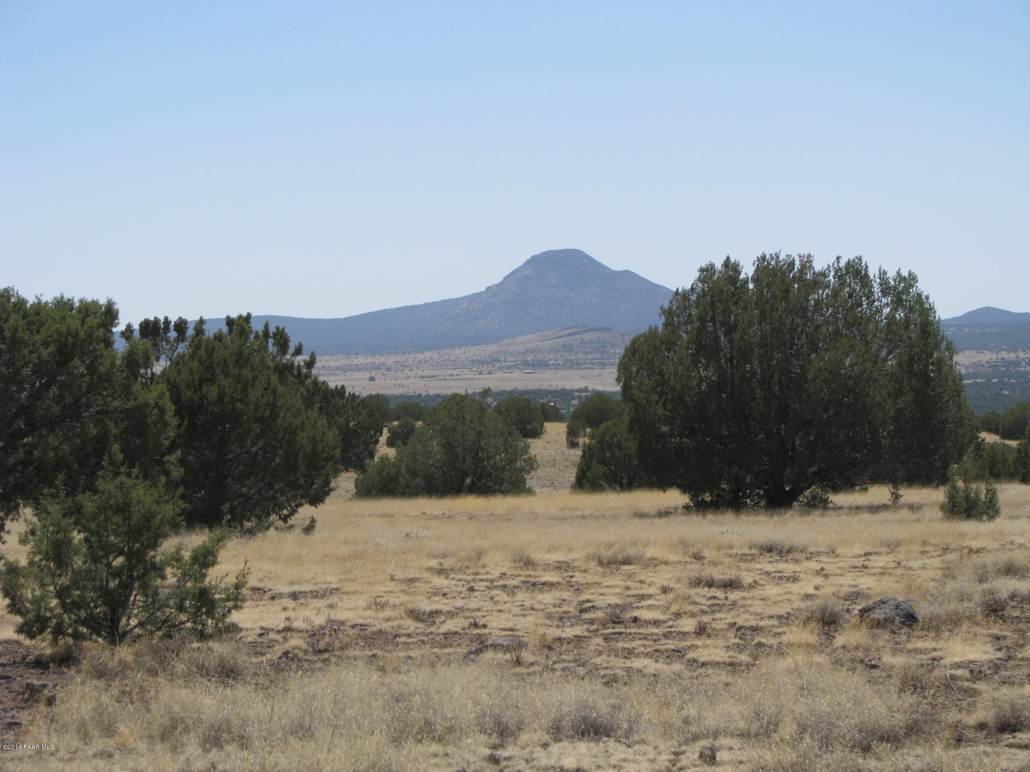 6800 Grand Vista Rnch Road Williams, AZ 86046 - Photo 14 of 23 IMG_0284