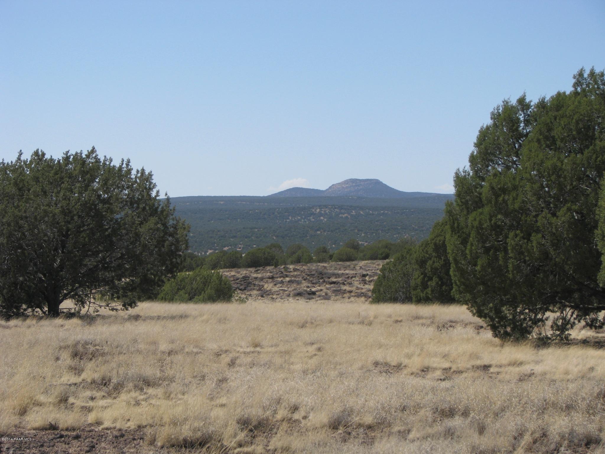 6800 Grand Vista Rnch Road Williams, AZ 86046 - Photo 15 of 23 IMG_0285