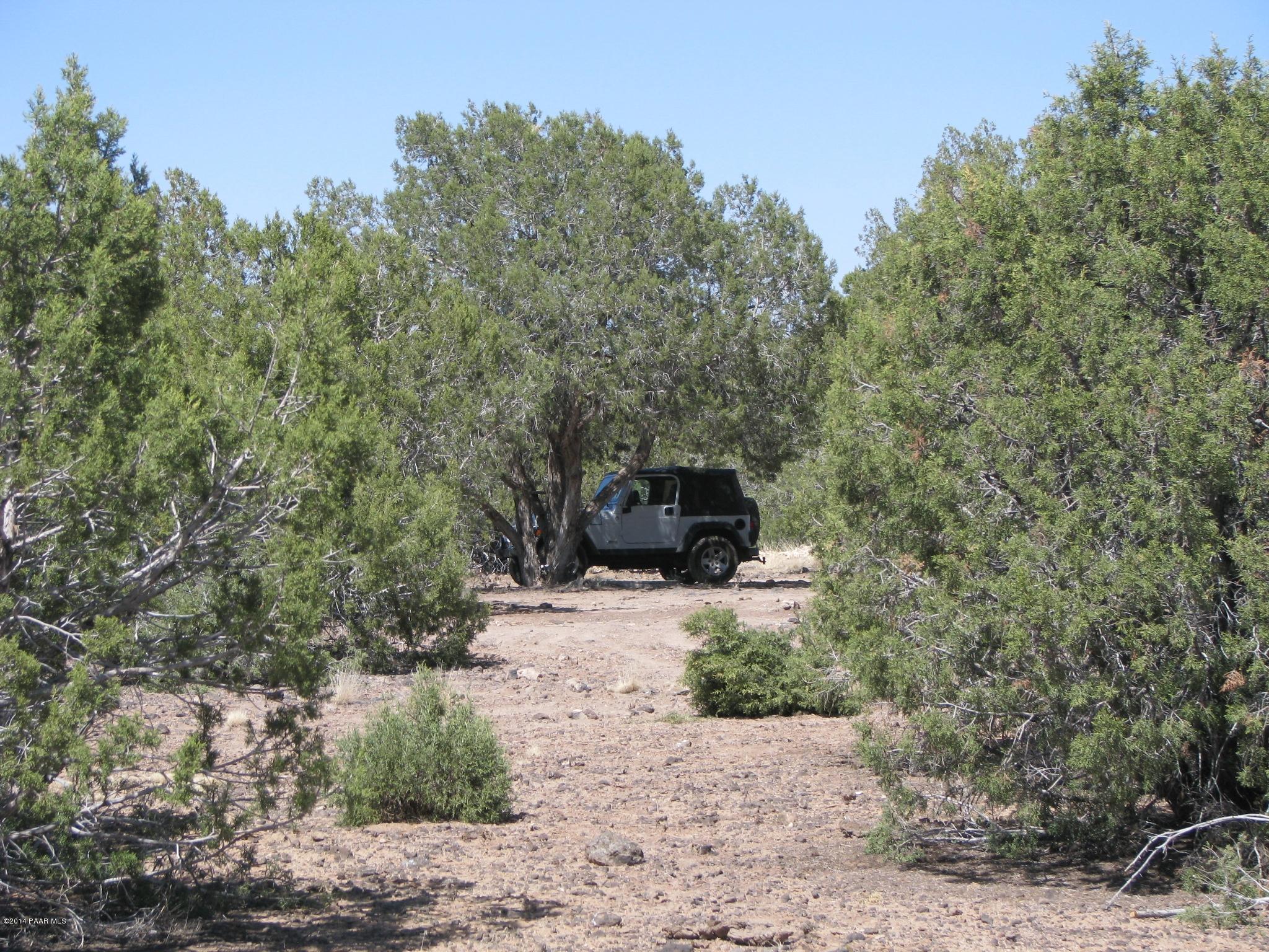 6800 Grand Vista Rnch Road Williams, AZ 86046 - Photo 16 of 23 IMG_0286