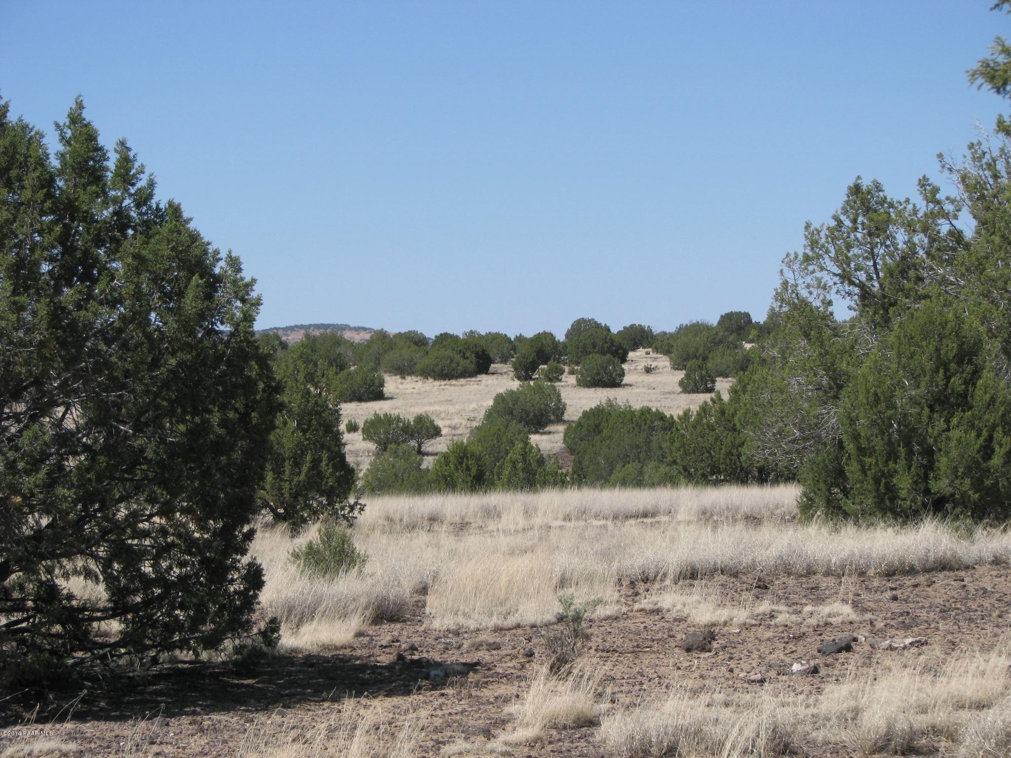 6800 Grand Vista Rnch Road Williams, AZ 86046 - Photo 17 of 23 IMG_0287