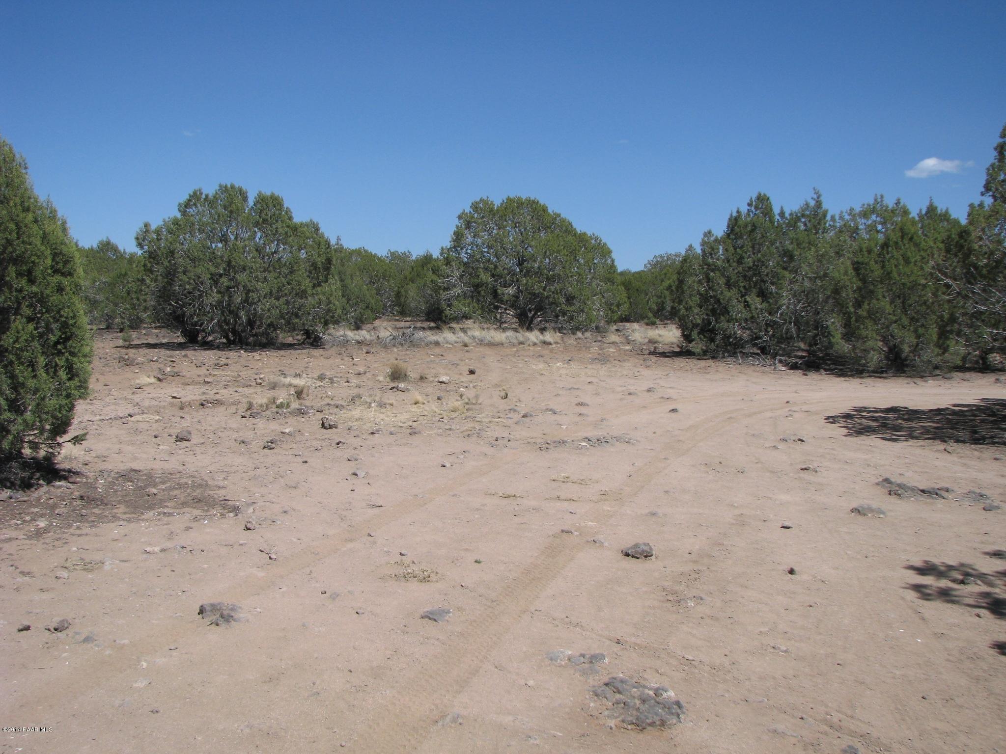 6800 Grand Vista Rnch Road Williams, AZ 86046 - Photo 2 of 23 IMG_0272