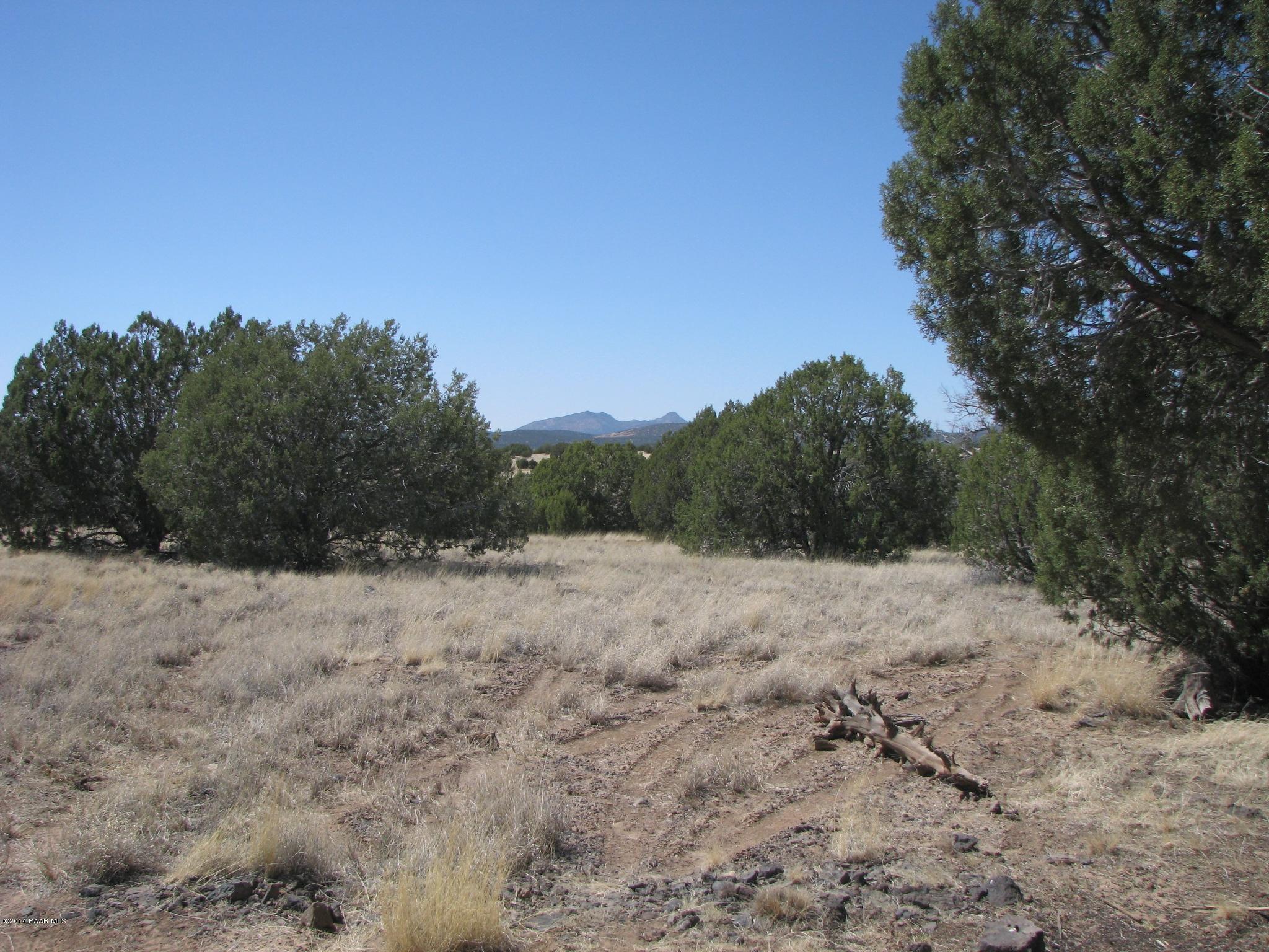 6800 Grand Vista Rnch Road Williams, AZ 86046 - Photo 21 of 23 IMG_0291