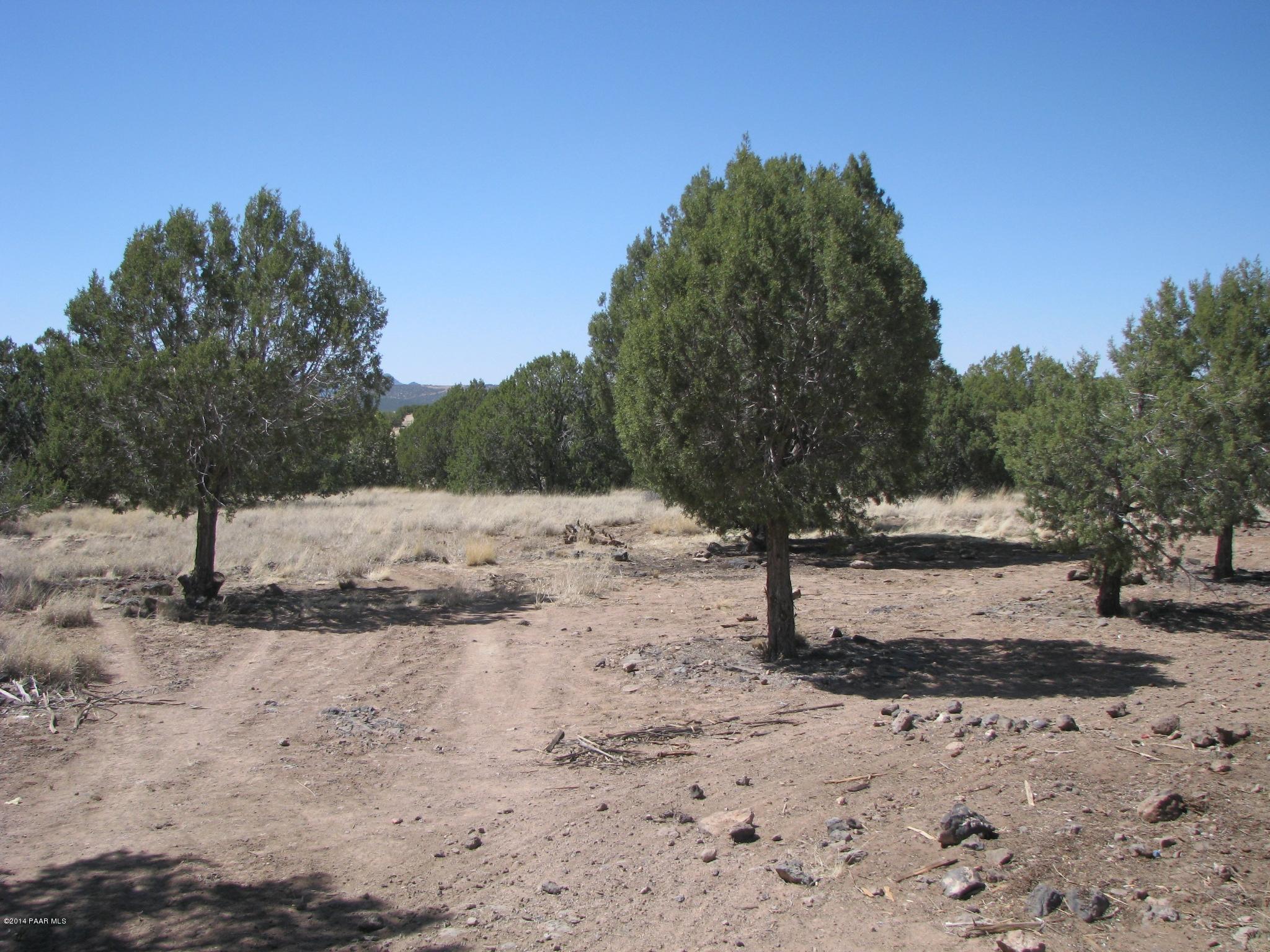 6800 Grand Vista Rnch Road Williams, AZ 86046 - Photo 3 of 23 IMG_0273