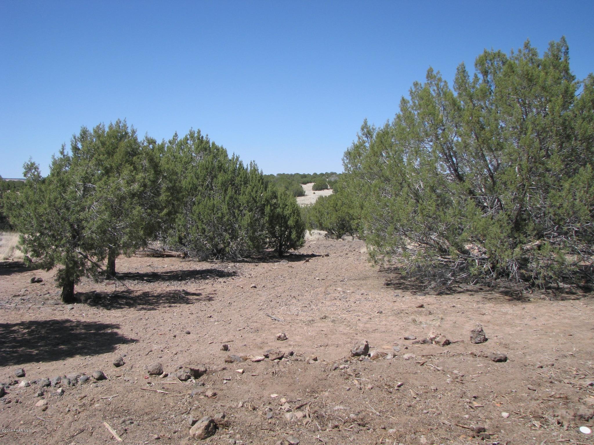 6800 Grand Vista Rnch Road Williams, AZ 86046 - Photo 4 of 23 IMG_0274
