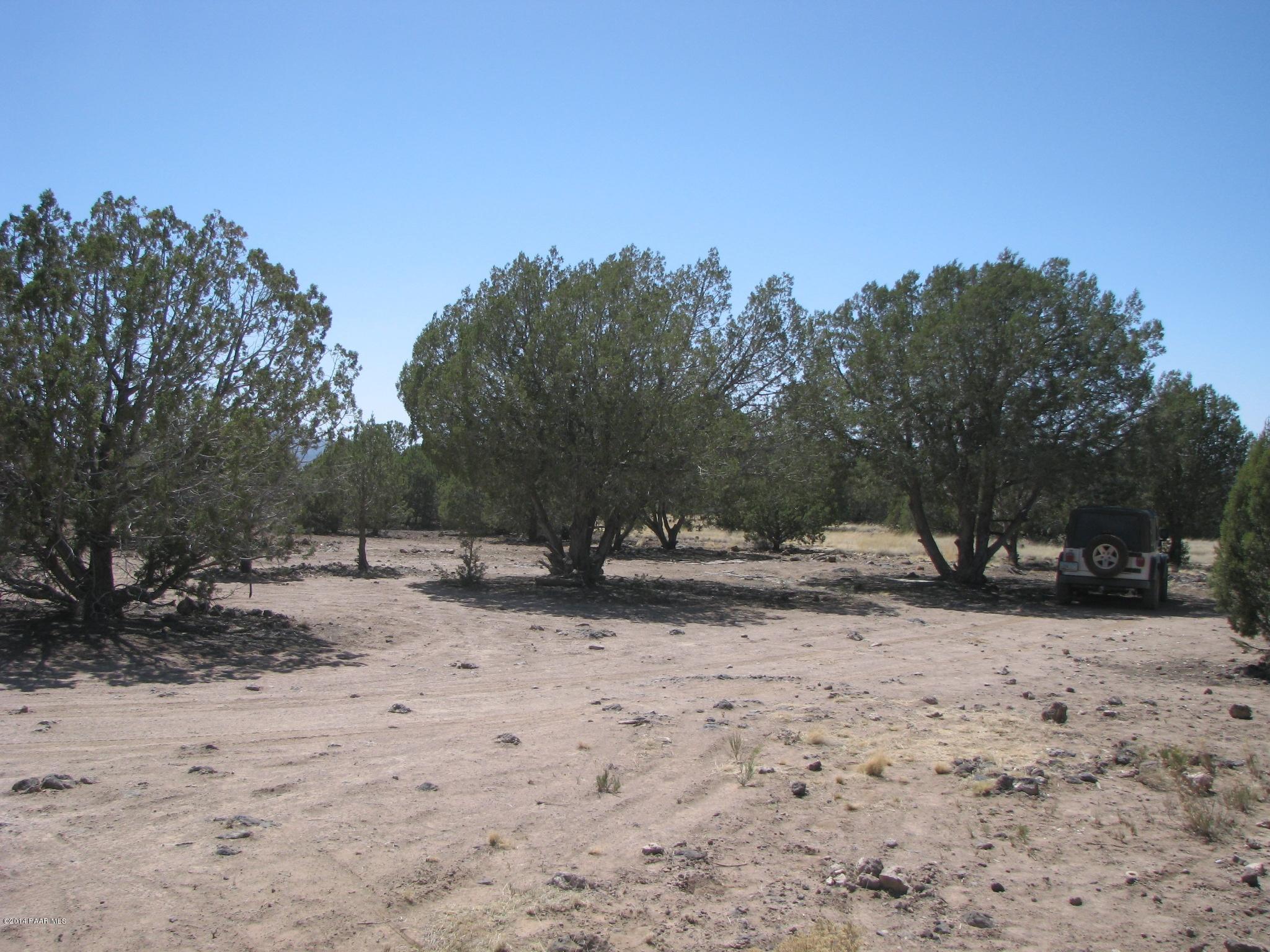 6800 Grand Vista Rnch Road Williams, AZ 86046 - Photo 7 of 23 IMG_0277