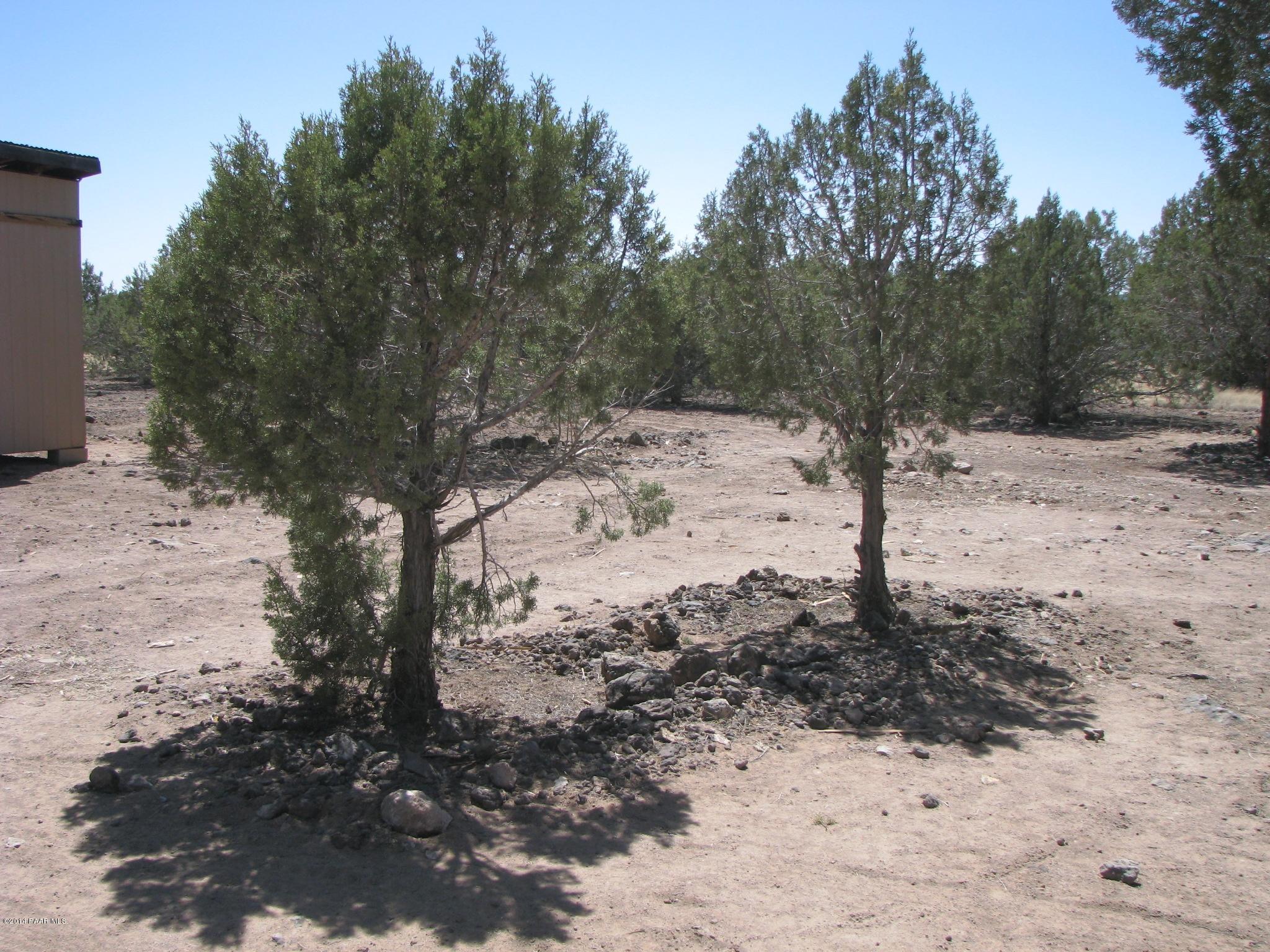 6800 Grand Vista Rnch Road Williams, AZ 86046 - Photo 8 of 23 IMG_0278