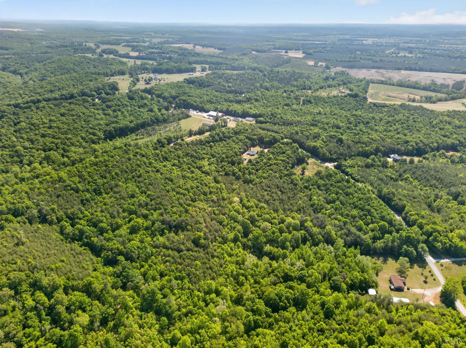 0 Mohawk Road Long Island, VA 24554 - Photo 16 of 23