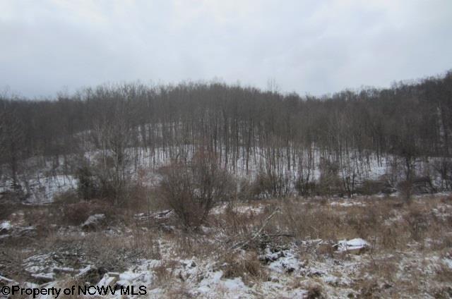 886 Jackson Mill Road Jane Lew, WV 26378 - Photo 16 of 20 Gallery Image 16