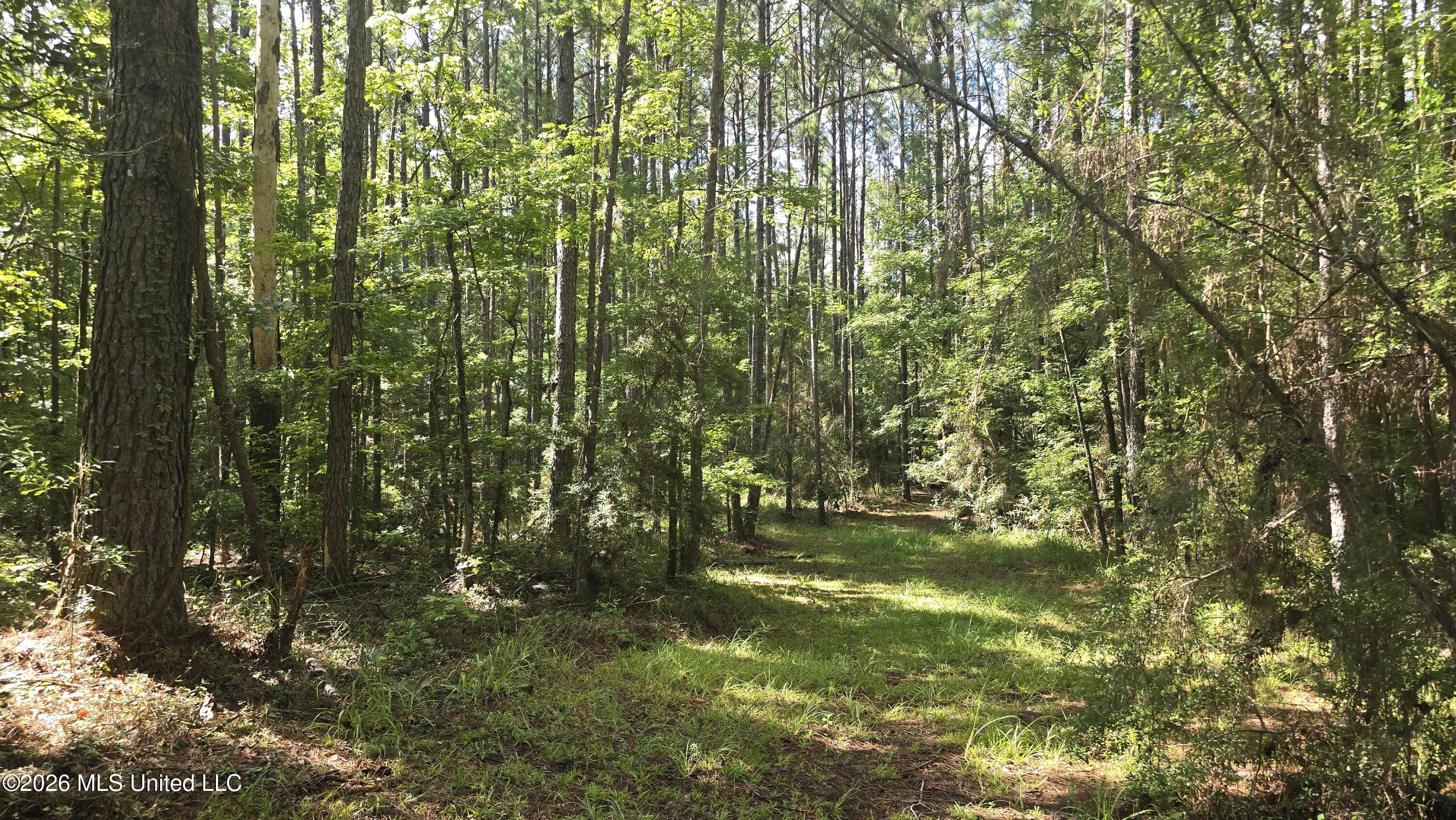 3190 Northeast Quentin Tower Road McCall Creek, MS 39647 - Photo 17 of 33 20260811_100615