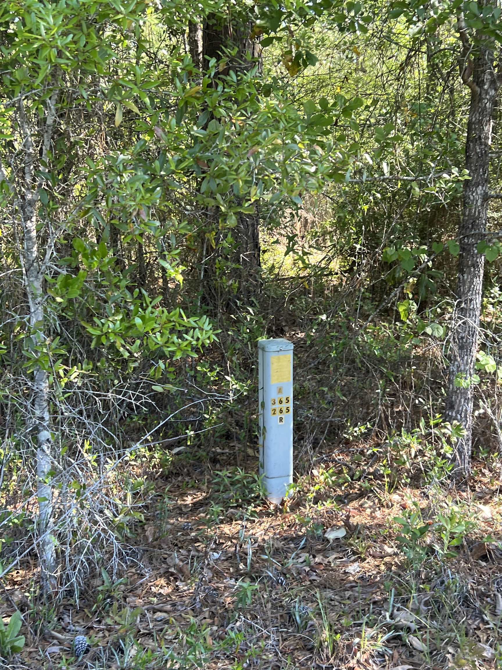 Xx Old Federal Road Quincy, FL 32351 - Photo 8 of 11