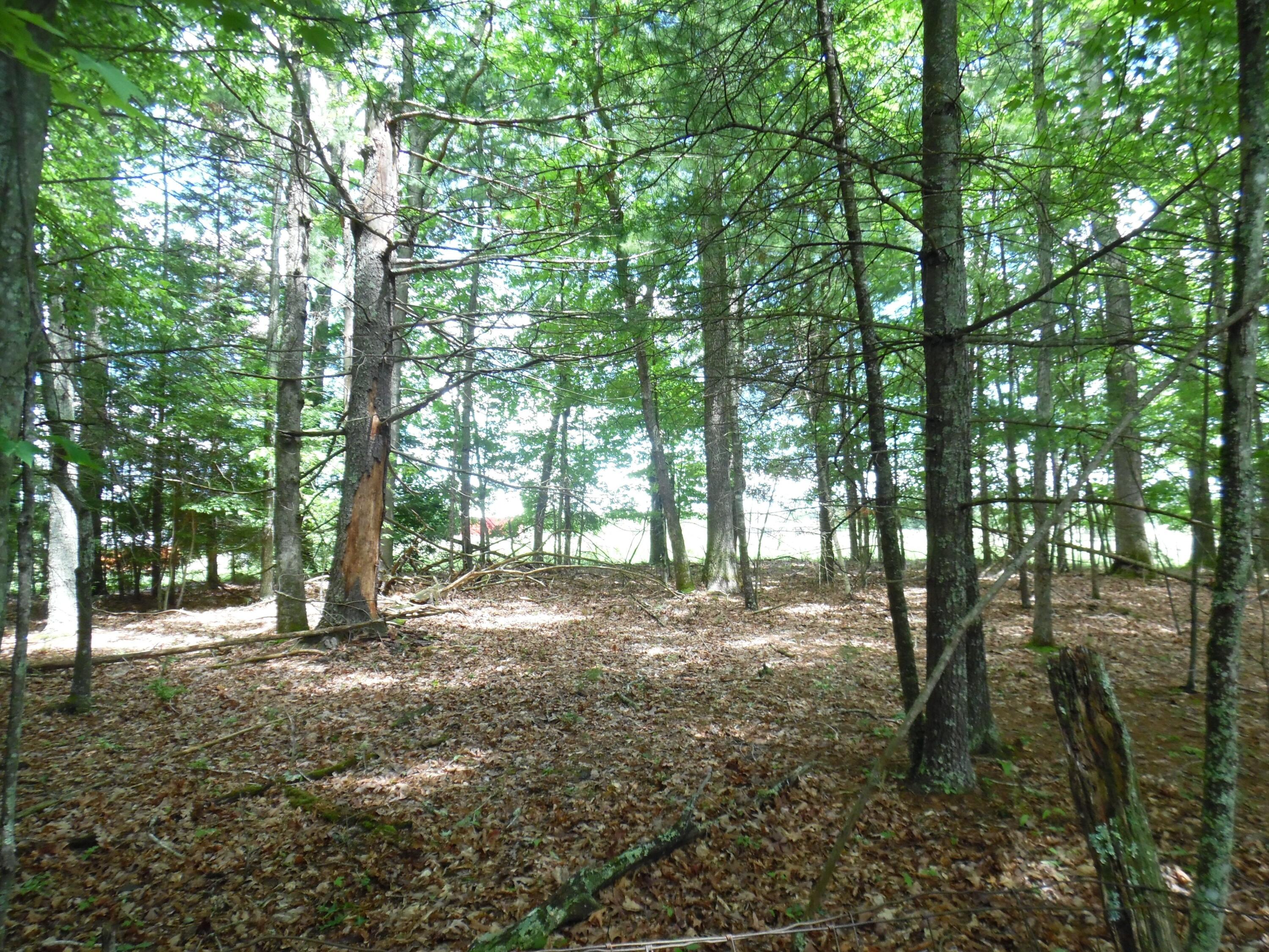 5210 Wesley Chapel Road Green Bank, WV 24944 - Photo 60 of 93 Gallery Image 60