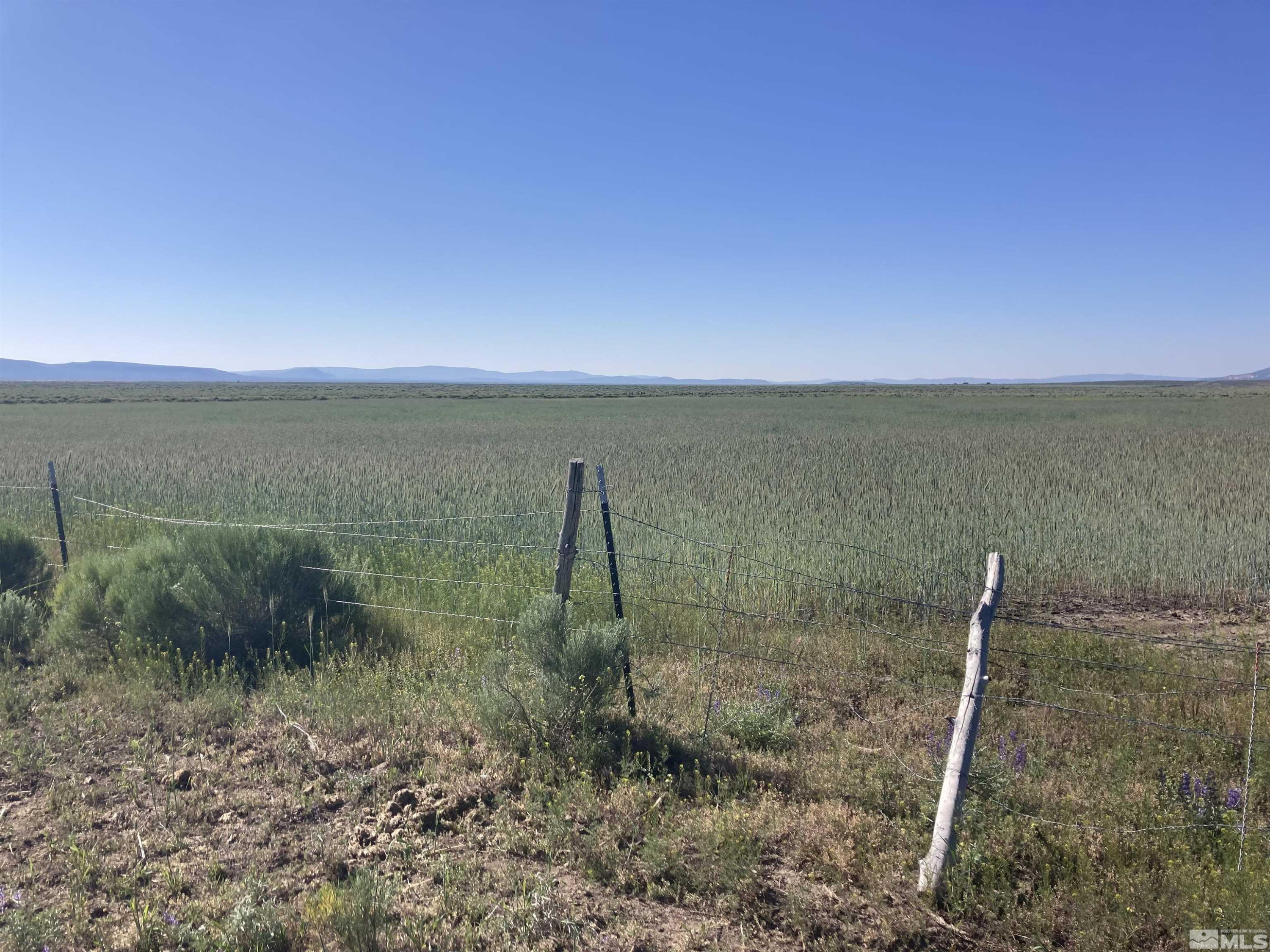 11069 Mosquito Road Gerlach, NV 89412 - Photo 18 of 21 Photo 19